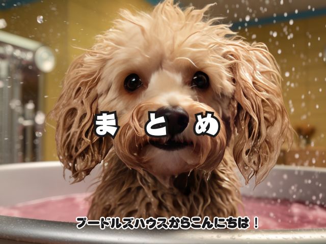トイプードルのシャンプーの頻度はどれくらい？【まとめ】