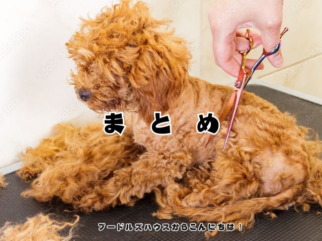 トイプードルが毛玉だらけでもトリミングできる？まとめ