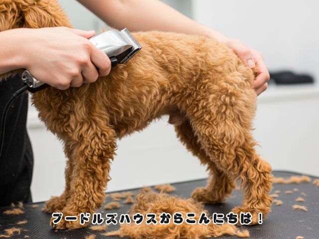 トリミング【バリカンカット】