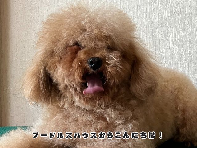 伸ばしっぱなし