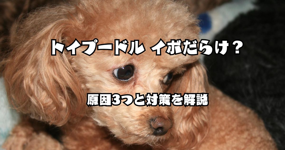 トイプードル イボだらけ 原因と対策