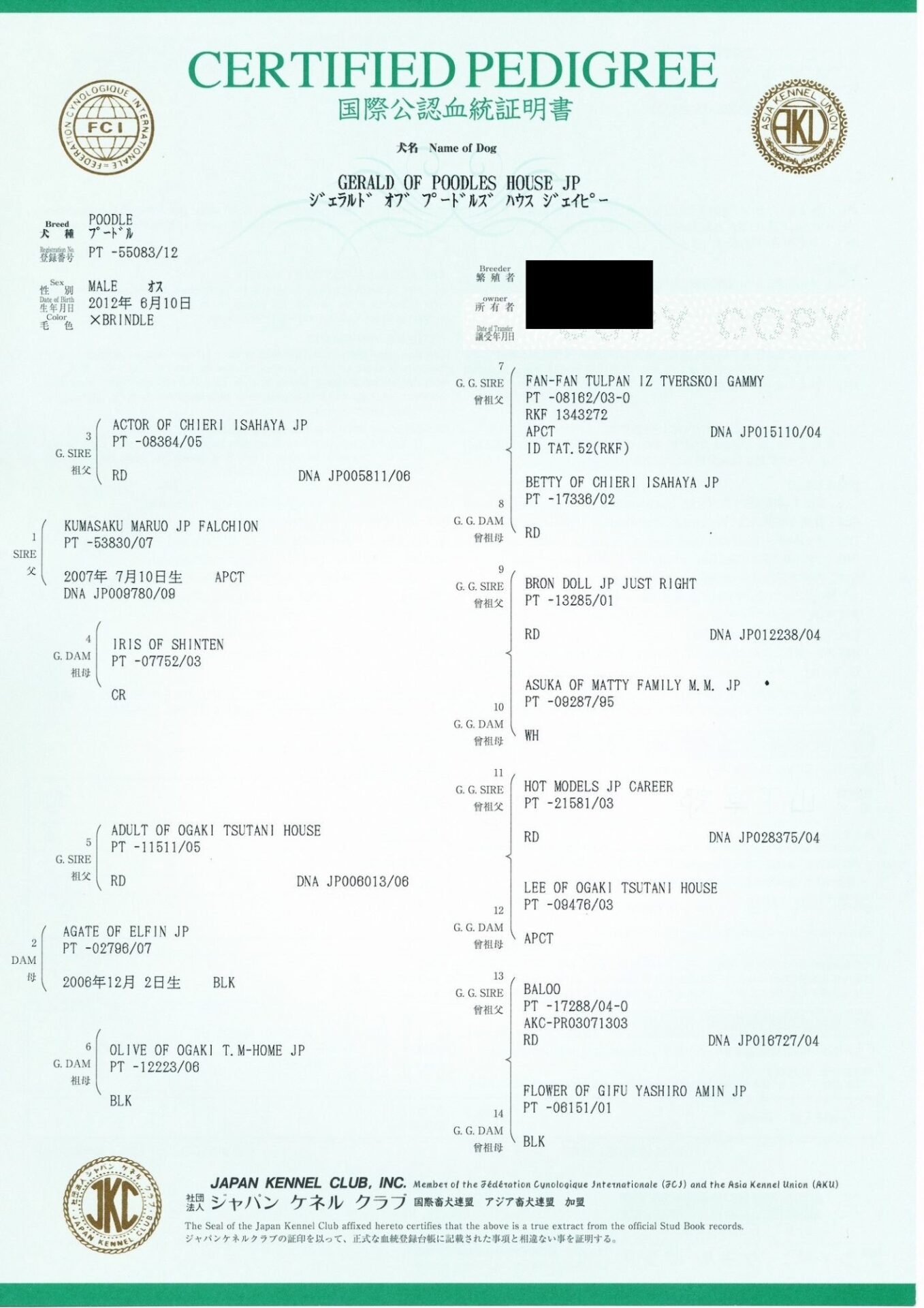 ブラックタンのトイプードルに発行されたJKC血統証明書