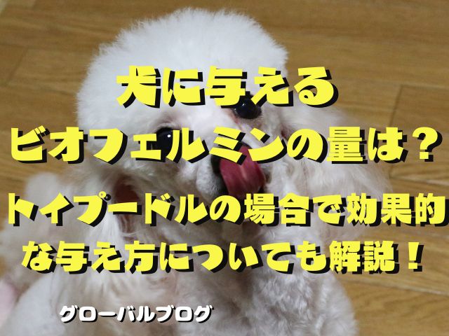 犬に与える ビオフェルミンの量は？