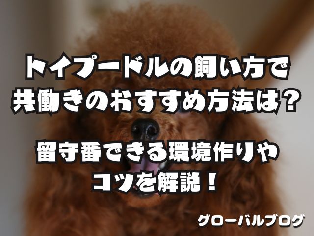 トイプードルの飼い方で共働きのおすすめ方法は？