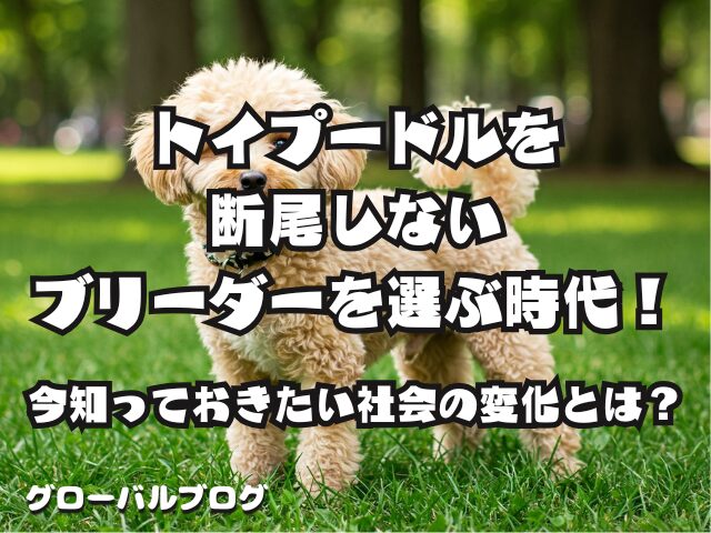 トイプードルを断尾しないブリーダーを選ぶ時代