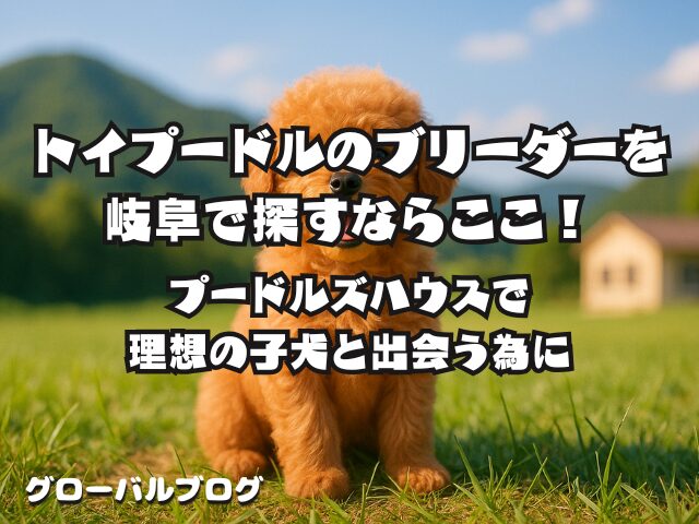 トイプードルの ブリーダーを岐阜で 探すならここ！