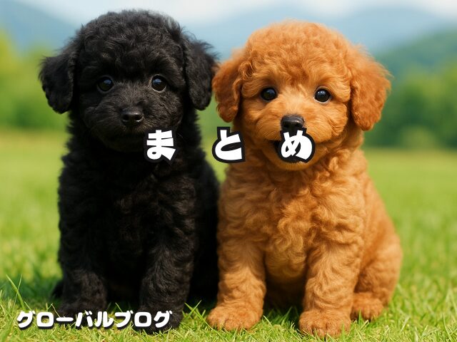 トイプードルのブリーダーを岐阜で探すならここ！【まとめ】