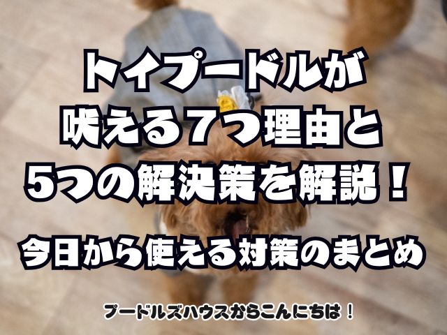 トイプードルが吠える7つに理由とやめさせる5つの方法を解説！