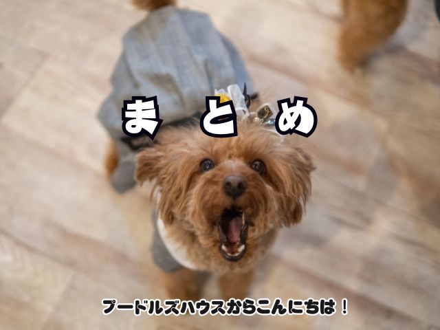 トイプードルが吠える理由とやめさせる5つの方法！今日から使える対策まとめ【まとめ】