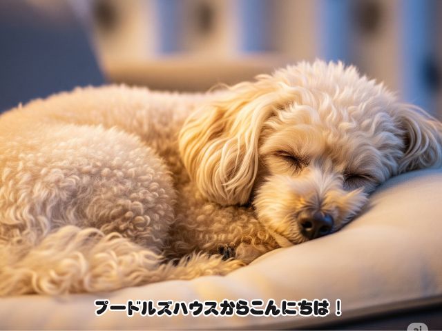 犬との付き合いから学ぶ人間関係ストレスを激減させる5つの秘訣【余白】