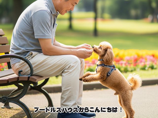 犬との付き合いから学ぶ人間関係ストレスを激減させる5つの秘訣