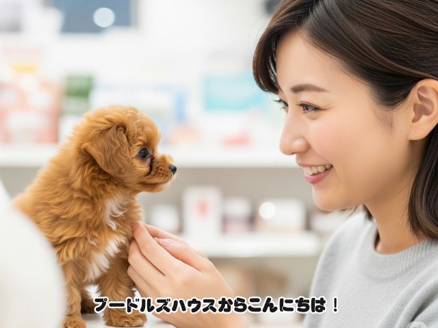 犬との付き合いから学ぶ人間関係ストレスを激減させる5つの秘訣【距離感】