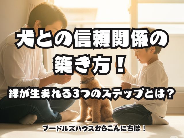 犬との信頼関係の築き方！