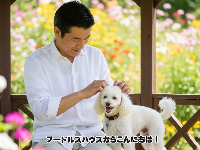 犬との信頼関係の築き方！見出し２