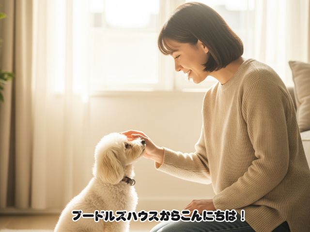 犬との信頼関係の築き方！見出し３