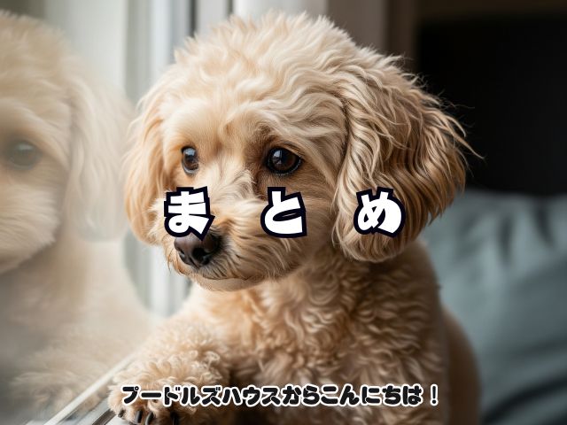 トイプードルの「後追い」が激しい！【まとめ】