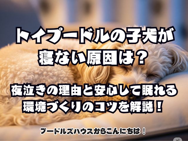 トイプードルの子犬が寝ない原因は