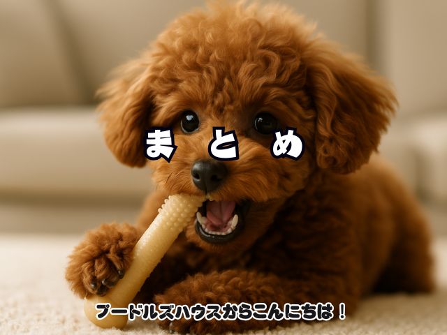 トイプードルの歯の生え変わりで噛み癖が急増！【まとめ】