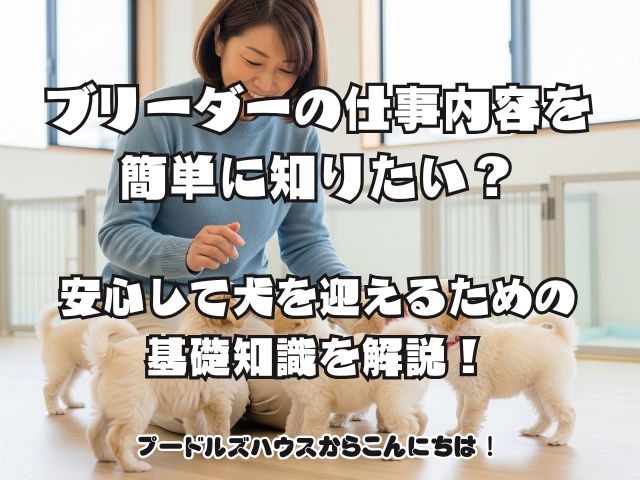 ブリーダーの仕事内容を簡単に知りたい？安心して犬を迎えるための基礎知識を解説！