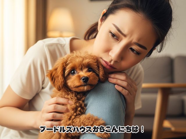 子犬が飼い主にべったりで離れない理由とは？