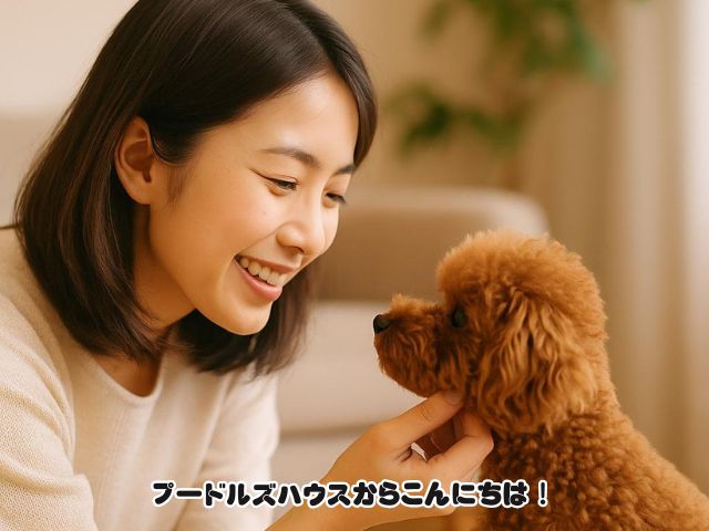 岐阜で犬とふれあえる場所を探している人へ！
