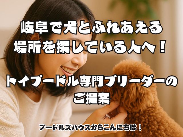 岐阜で犬とふれあえる場所を探している人へ！