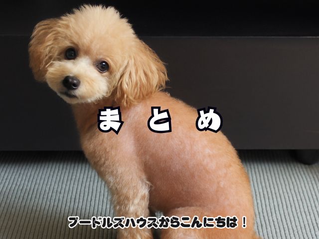 トイプードルの地肌が見えるのは異常？【まとめ】