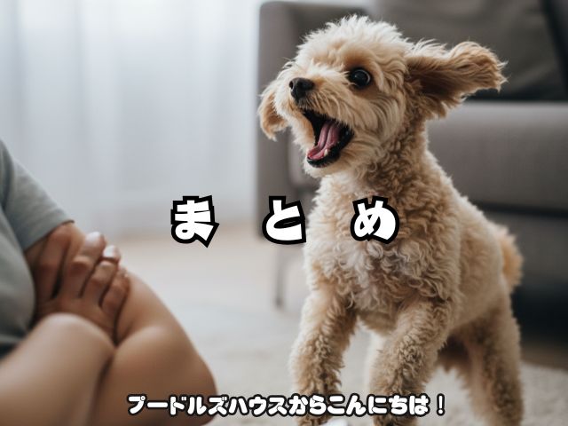 トイプードルが憎たらしいと感じる瞬間とは？【まとめ】