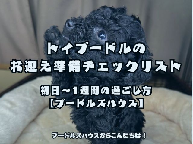 初日〜1週間の過ごし方【プードルズハウス】