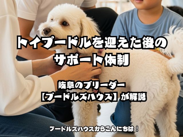 トイプードルを迎えた後のサポート体制｜岐阜のブリーダー【プードルズハウス】が解説