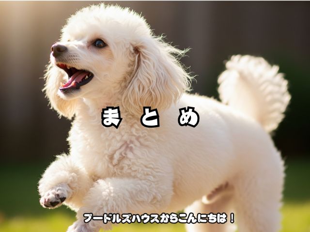 トイプードルを迎える前に必要な心構えやルール【まとめ】