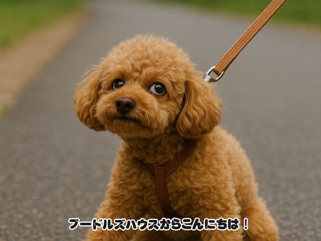 散歩嫌いの犬は行かなくても大丈夫？