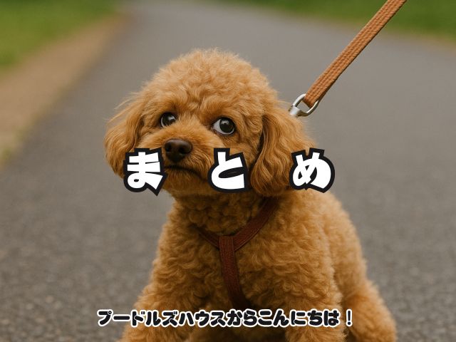 散歩嫌いの犬は行かなくても大丈夫？【まとめ】
