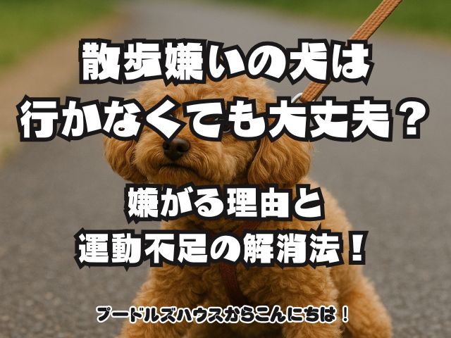 散歩嫌いの犬は行かなくても大丈夫？嫌がる理由と運動不足の解消法！