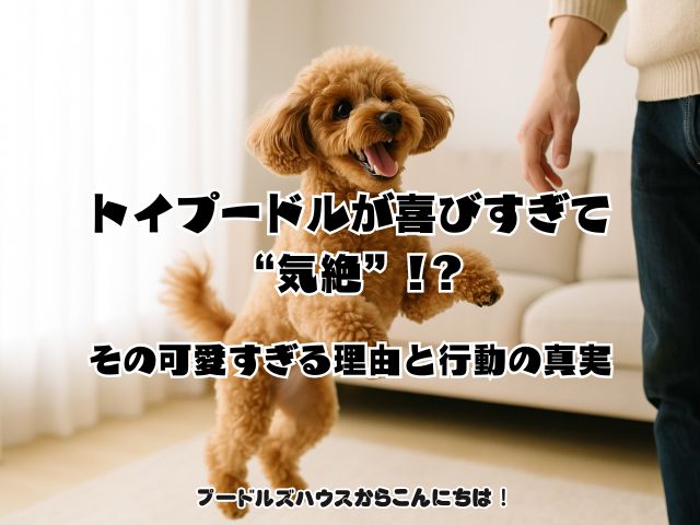 トイプードルが喜びすぎて“気絶”!？その可愛すぎる理由と行動の真実