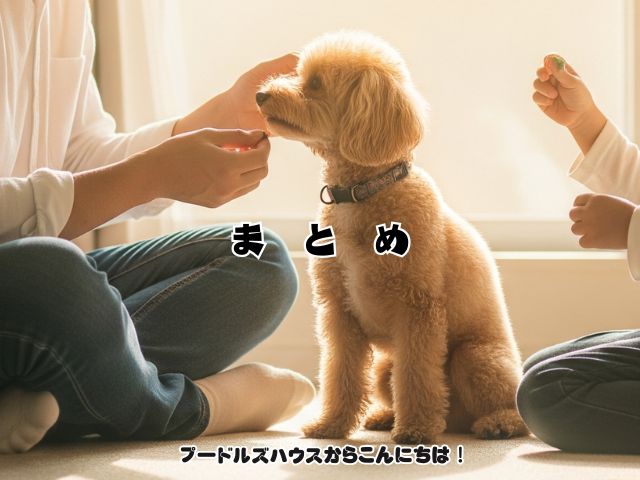 トイプードルが飼い主を信頼している サイン５つを解説！ 【まとめ】