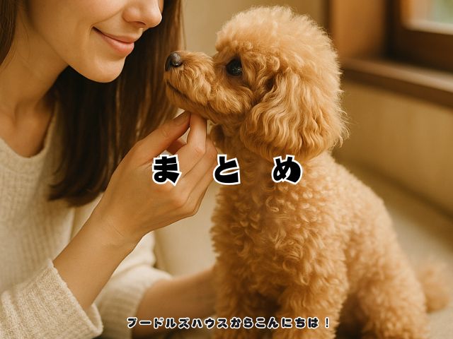 トイプードルとの出会いを特別にする見学のすすめ！【まとめ】