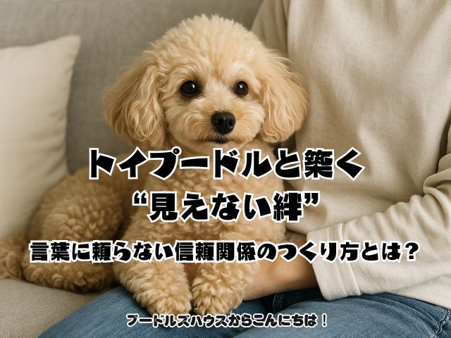 トイプードルと築く“見えない絆”｜言葉に頼らない信頼関係のつくり方とは？