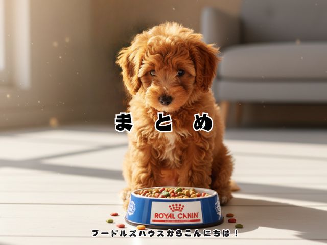 トイプードルの子犬におすすめのフード紹介！【まとめ】