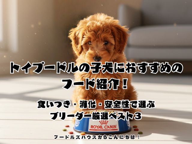 トイプードルの子犬におすすめのフード紹介！食いつき・消化・安全性で選ぶブリーダー厳選ベスト３