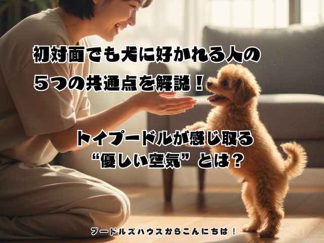 初対面でも犬に好かれる人の５つの共通点を解説！トイプードルが感じ取る“優しい空気”とは？