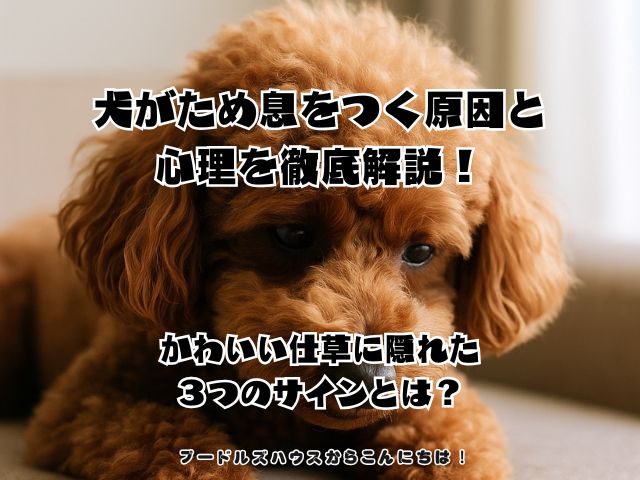 犬がため息をつく原因と心理を徹底解説！かわいい仕草に隠れた３つのサインとは？