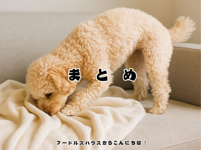 犬が寝る前に掘るのは落ち着くため？【まとめ】