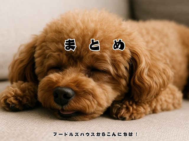 犬が寝言を言う時の心理と原因を解説！【まとめ】