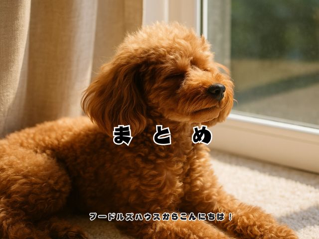 犬が日向ぼっこをするのはなぜ？【まとめ】
