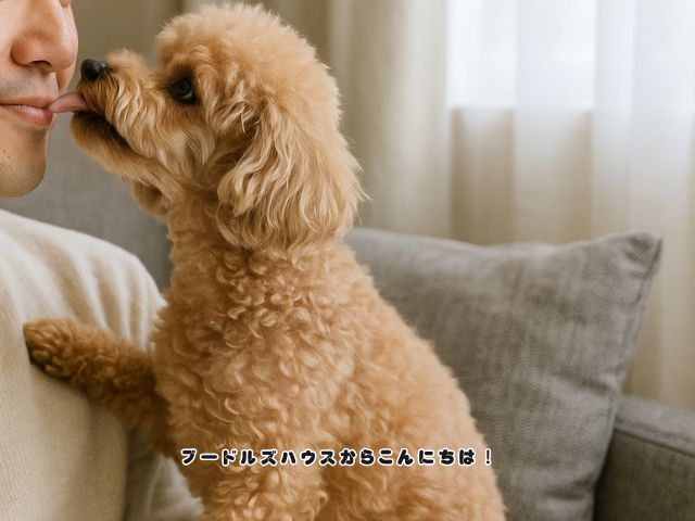 犬が飼い主以外の顔を舐めるときの心理を解説！