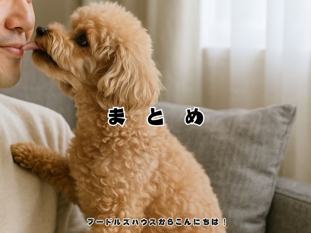 犬が飼い主以外の顔を舐めるときの心理を解説！【まとめ】