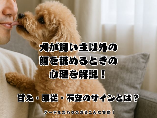 犬が飼い主以外の顔を舐めるときの心理を解説！甘え・服従・不安のサインとは？