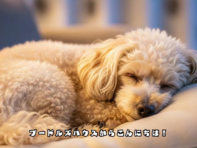 犬が元気なくて寝てばかりだけど大丈夫？