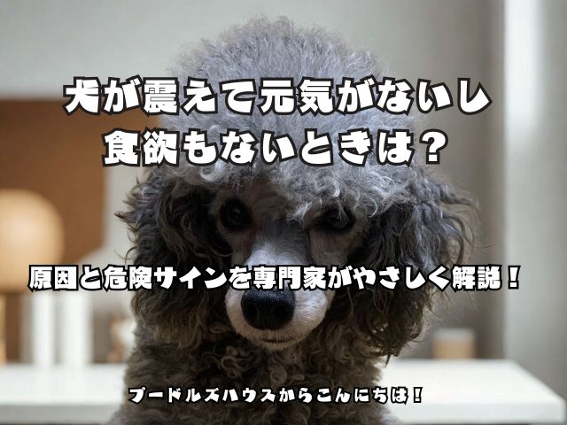 犬が震えて元気がないし食欲もないときは？原因と危険サインを専門家がやさしく解説！